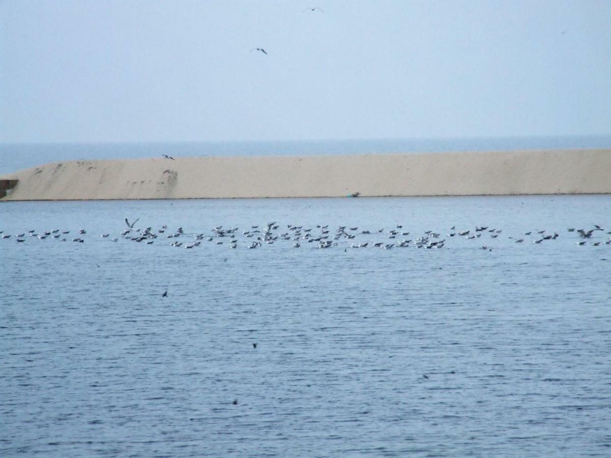 Casa Lagoa Verde Esmoriz Εξωτερικό φωτογραφία